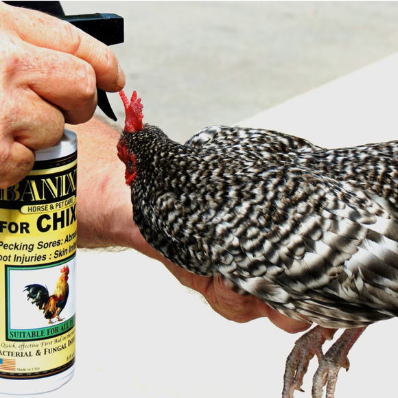 Banixx for Chixx Antibacterial & Antifungal Spray (8 oz)