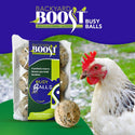 Backyard Boot Busy Balls For Digestion and Gut Health for Chickens (6 balls)