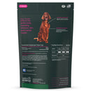 Gut Health Chews for Dogs