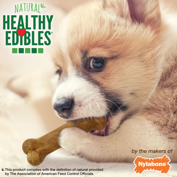 Nylabone Healthy Edibles Roast Beef Turkey & Bacon Puppy Dog Treats -Variety Pack