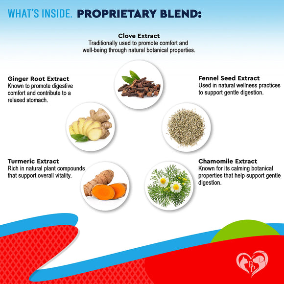 Beloved Pets Dewo Herbal Cleanse Broad Spectrum Intestinal Defense For Dogs & Cats (2 oz)