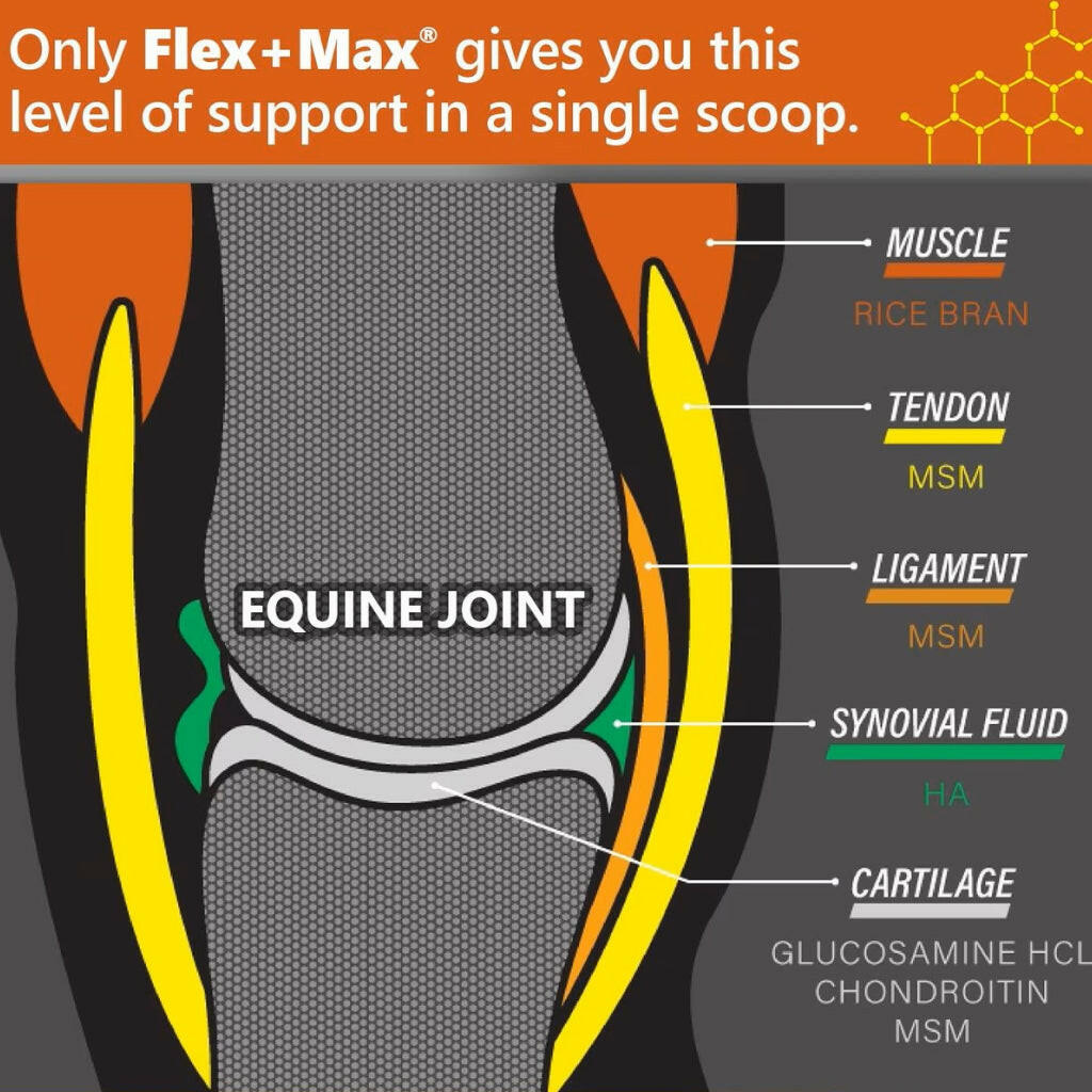 Flex max horse supplement gives your horse the maximum support in a single scoop. Buy Flex max pellets today for high horse performance