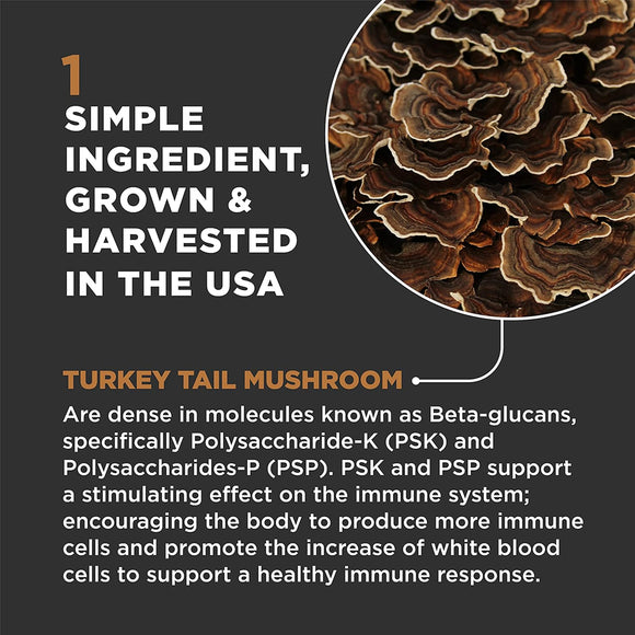 Super Snouts Turkey Tail Mushroom Organic Immune Health Supplement for Dogs & Cats