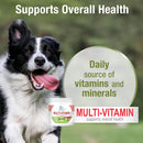 Four Paws Healthy Promise Multivitamin Soft Chews Supplement For Dogs (120 ct)