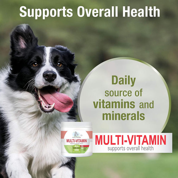 Four Paws Healthy Promise Multivitamin Soft Chews Supplement For Dogs (120 ct)