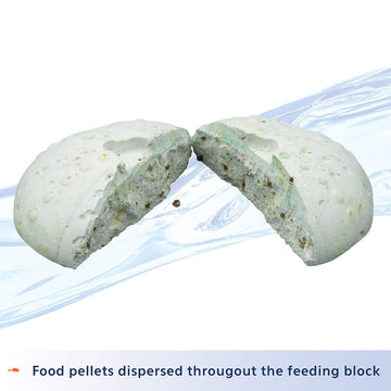 Aqueon Tropical or Goldfish Vacation Food Feeders