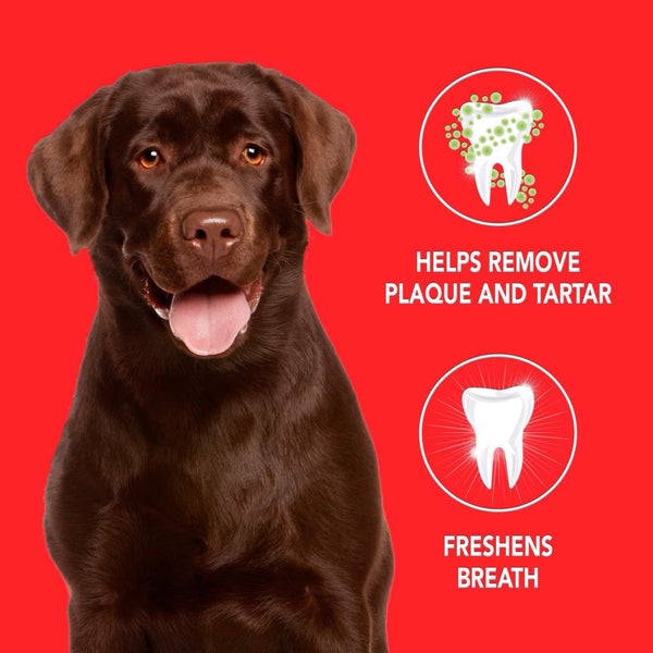 SENTRY Petrodex Toothpaste Dog Peanut Flavor (2.5oz)