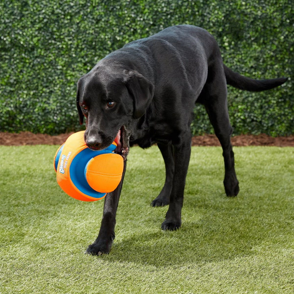 Chuckit! Kick Fetch Ball Toy For Dog- Large