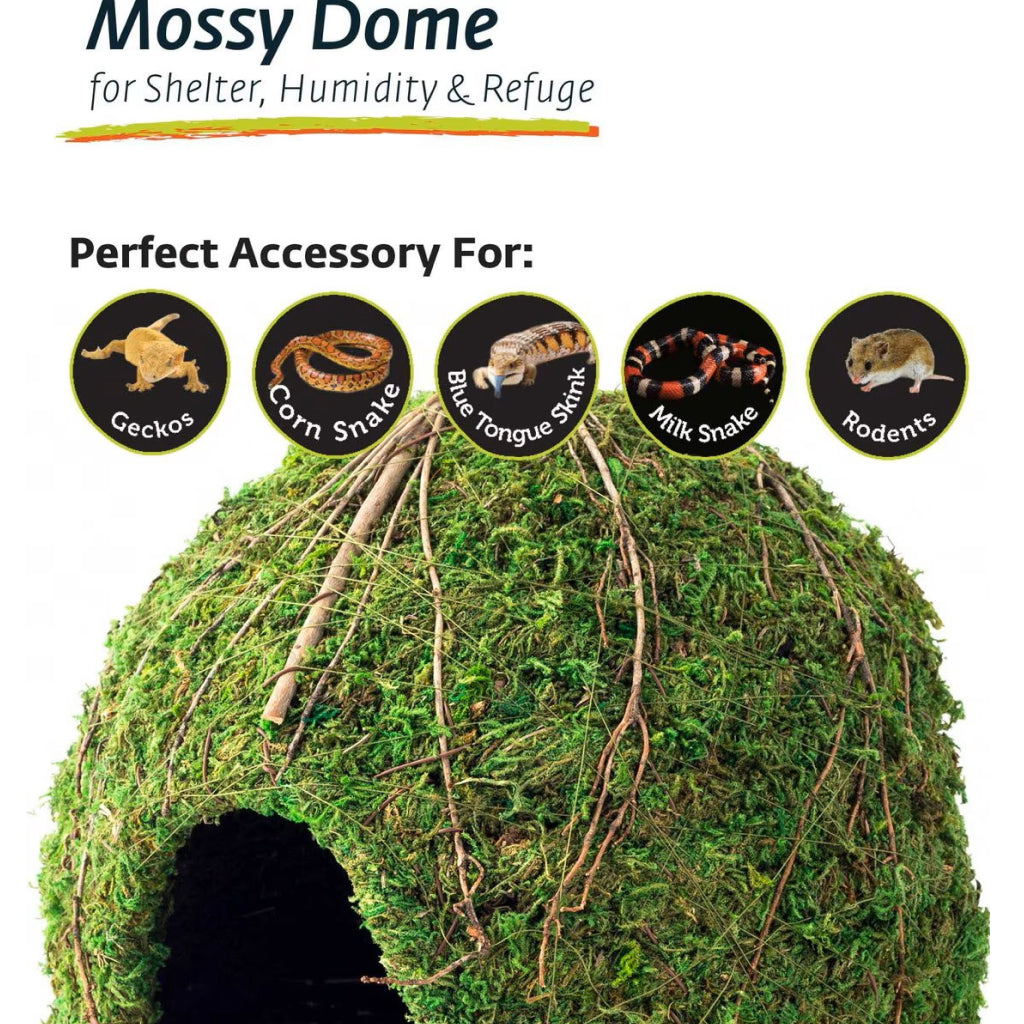 Galapagos Mossy Dome Terrarium Hideaway For Reptiles & Amphibians