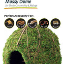 Galapagos Mossy Dome Terrarium Hideaway For Reptiles & Amphibians