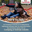 The Company of Animals Pet Corrector Stops Jumping Stealing Food & Barking For Dogs (30ml)