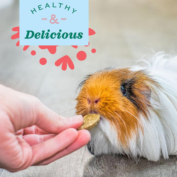 Oxbow Natural Science - Vitamin C Supplement For Small Animals (60 ct)