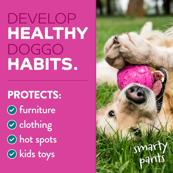 TropiClean Chew Stop Behavior Aid Dog & Home Spray (8 -oz)