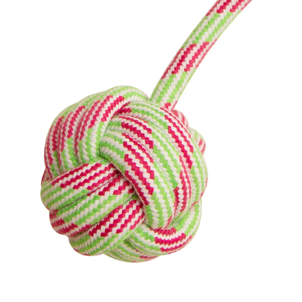 Snugarooz Floss N Fun Rope Toy For Dogs -Assorted (17")