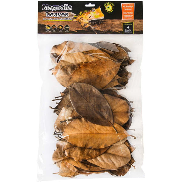 Galapagos Magnolia Leaves for Tropical & Bioactive Habitats (4 qt)