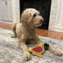 Spot Dura-Fused Colors Leather Parrot Dog Toy - Assorted colors