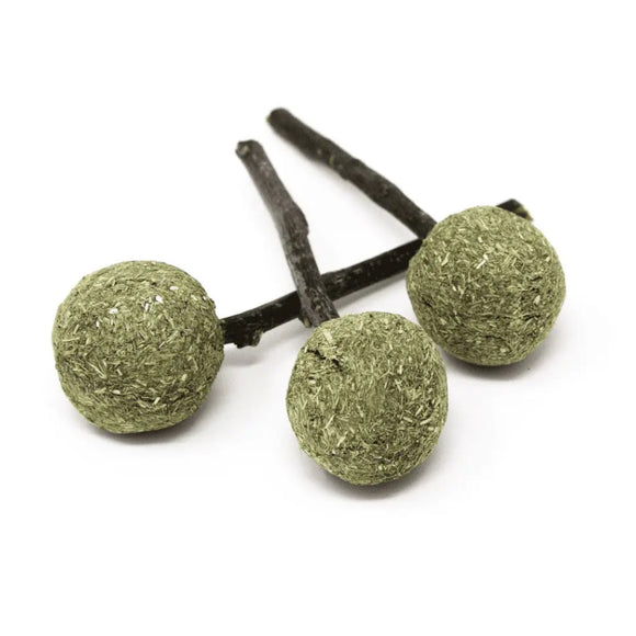 Oxbow Enriched Life Timmy Pops Small Animal Chew Toys