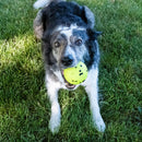 Kong Reflex Ball Toy For Dogs- Large