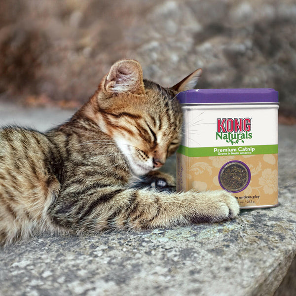 KONG Naturals Premium North American Catnip Treats (1 oz)