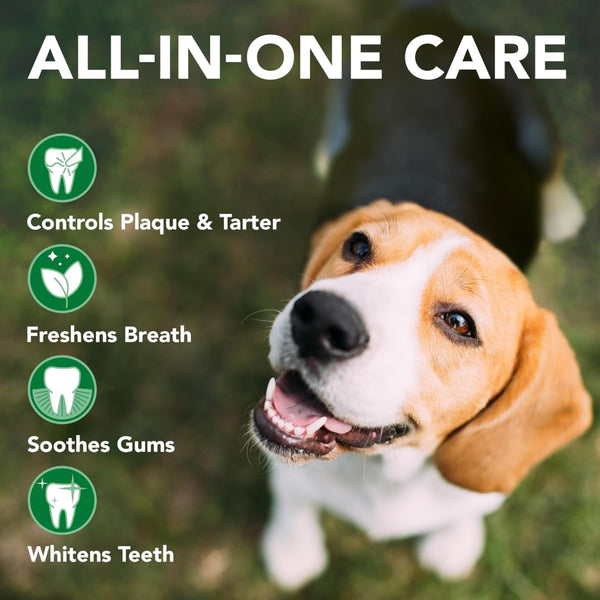 this dog toothpaste gel provides all in one care