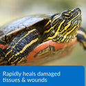 API Turtle Fix Antibacterial Turtle Remedy (8 oz)