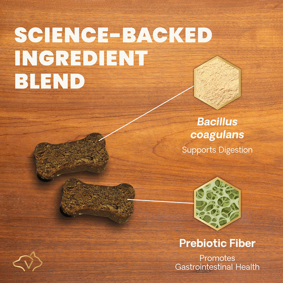 Gut Health Chews for Dogs