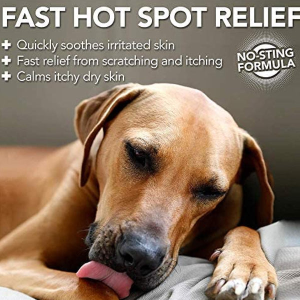 natural hot spot relief for dogs