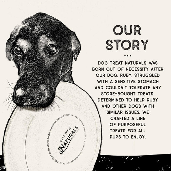 Dog Treat Naturals Superfood Sticks Pork & Peach Dog Treats (10 oz)