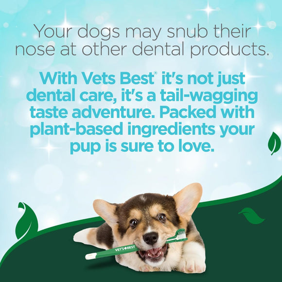 natural water additive for dogs