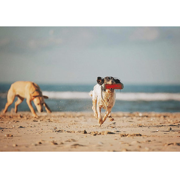 Chuckit! Amphibious Bumper Fetch & Float Toy For Dogs- Medium (color varies)