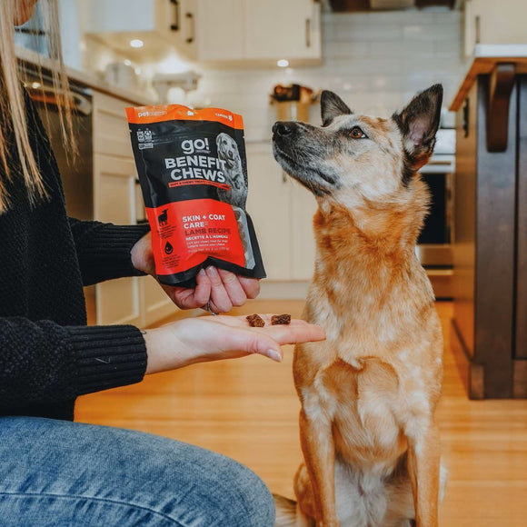 Go! Solutions Benefit Chews Skin + Coat Care Lamb Recipe Soft & Chewy Treats for Dogs (6 oz)