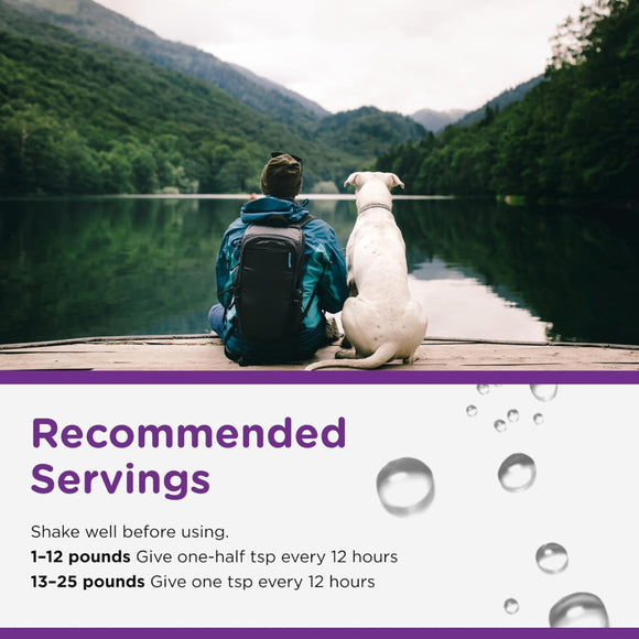 Nutri-Vet Anti-Diarrhea Liquid for Dogs (4 oz)