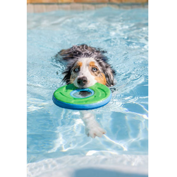 Chuckit! Zipflight Disc Toy For Dogs- Medium (color varies)