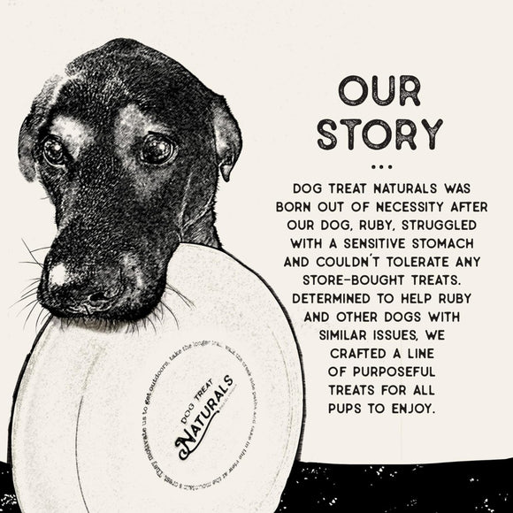 Dog Treat Naturals Dental Sticks Chickpea & Mint Dog Treats (20 count)