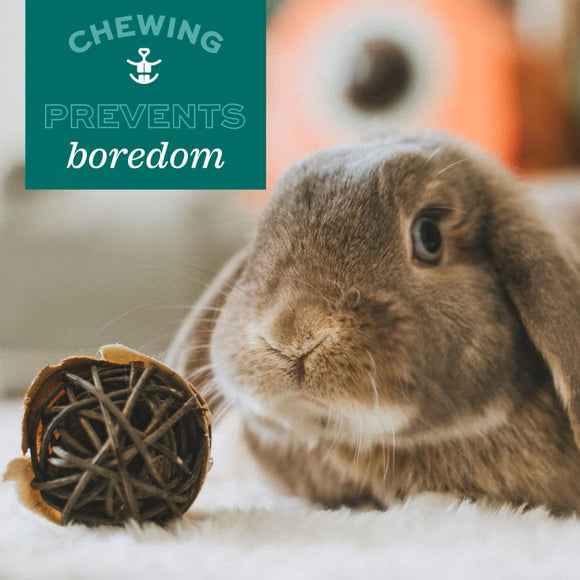 Oxbow Timothy Hay Square Small Animal Treats Chew Toy