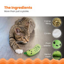 Catstages Crunchy Pickle Kicker Plush Cat Toy with Catnip-4