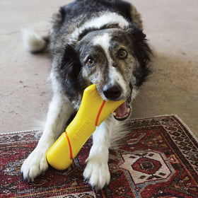 Kong Squeezz Tennis Stick Toy For Dogs -Large