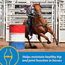Farnam Fluidflex Liquid Joint Supplement for Horses