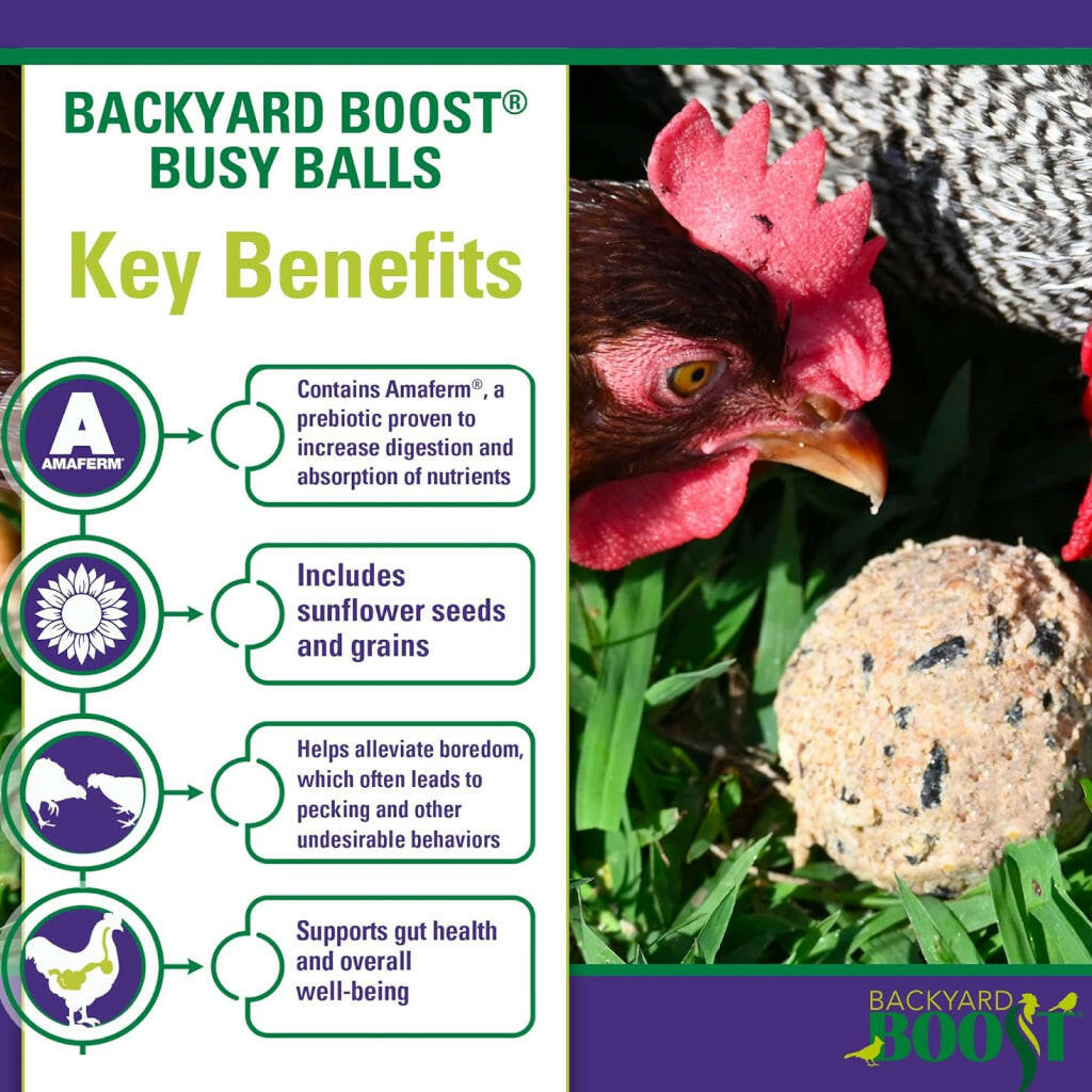 Backyard Boot Busy Balls For Digestion and Gut Health for Chickens (6 balls)