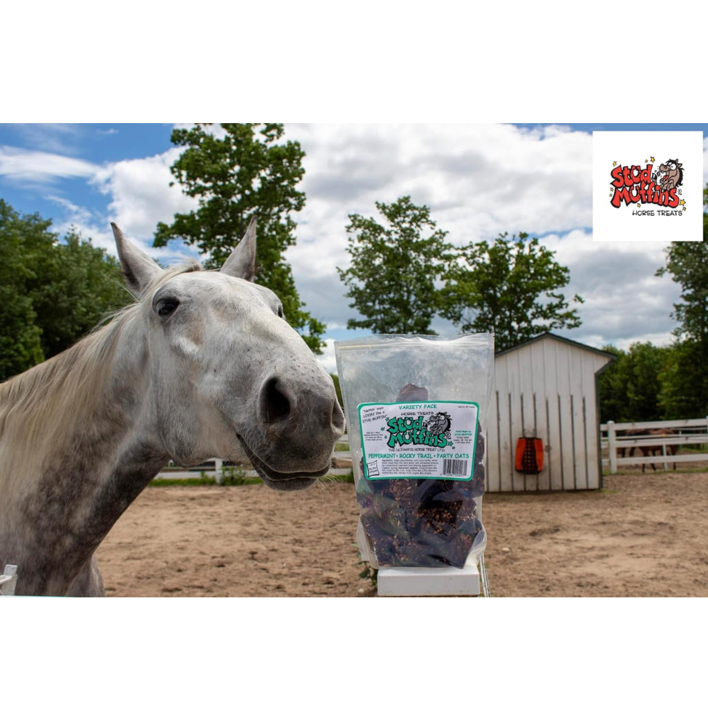 Stud Muffins Variety Pack Horse Treats – Peppermint, Rocky Trail
