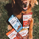 OTIS Wild Things Salmon Trainers Bite-Sized Treats for Dogs (4 oz)