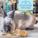 Oxbow Enriched Life Tumble 'n Toss Toy For Small Pets