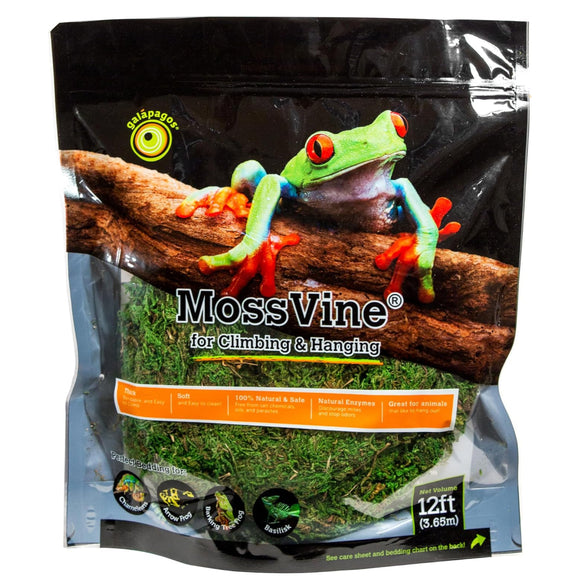 Galapagos MossVine for Hanging & Climbing (12 ft)