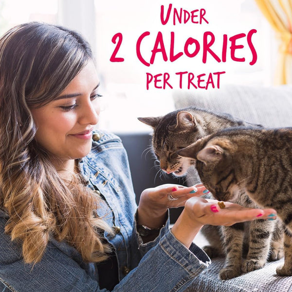 Fruitables Limited Ingredient Salmon with Cranberry Crunchy Treats For Cats