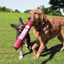 Kong Signature Stick Toy For Dogs- Medium