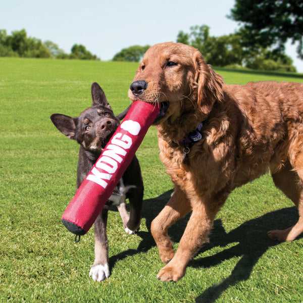 Kong Signature Stick Toy For Dogs- Medium