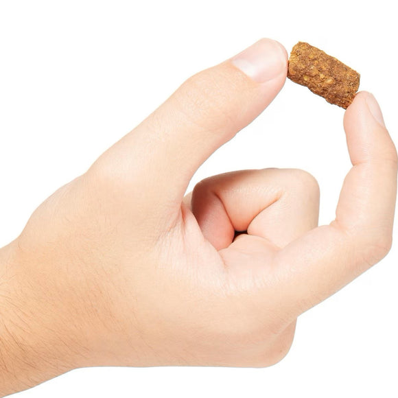 Go! Solutions Benefit Chews Digestion + Gut Health Salmon Recipe Soft & Chewy Treats for Dogs (6 oz)