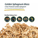 Galapagos 5- Star Premium Terrarium Sphagnum Moss for Enhanced Humidity- Gold