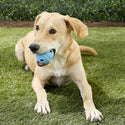 Chuckit! The Whistler Ball Toy For Dog- Large