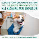 TropiClean Watermelon Refreshing 2-in-1 Shampoo & Conditioner For Dogs